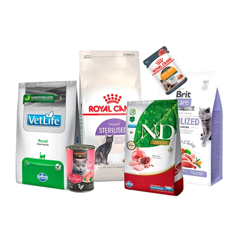 Selección de alimentos para gatos
