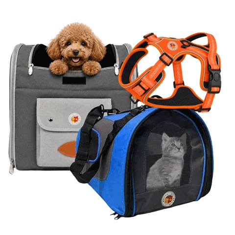 Bolsos y accesorios de transporte