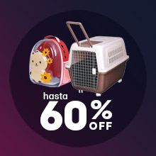 Transporte y seguridad