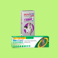 Antiparasitarios Gatos