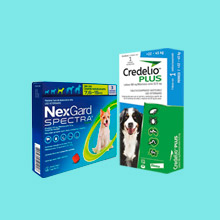 Antiparasitarios Perros