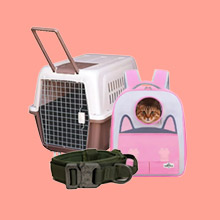 Transporte y seguridad