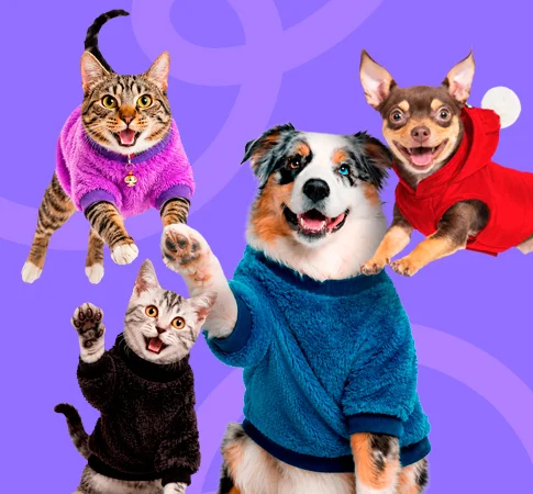 Perros y gatos con ropa y chaquetas