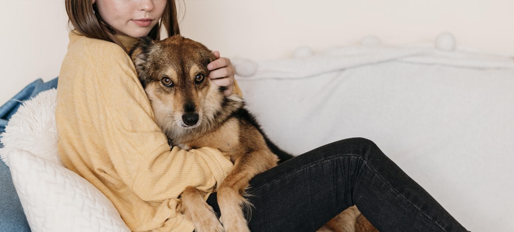 Como ayudar a tu perro a superar la ansiedad por separacion