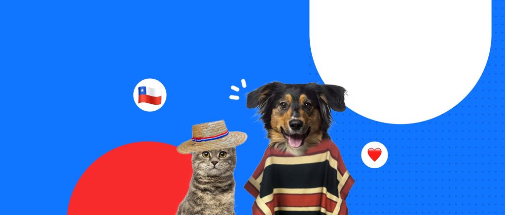 Fiestas Patrias: Todo lo que debes saber para cuidar a tu mascota en esta celebración 