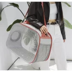 Bolso Transportador Cartera Transparente