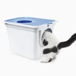 Baño Arenero para Gato Diseño