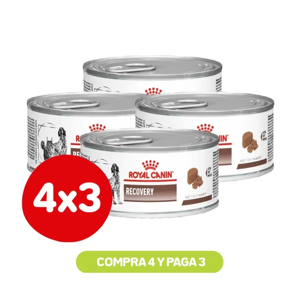 Pack 4x3 Royal Canin Recovery Perros y Gatos Lata 145 Gr