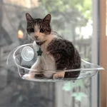 Hamaca Para Gatos Diseño Capsula Colgante