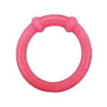 Juguete Para Perro Mordedor Circular Fluor