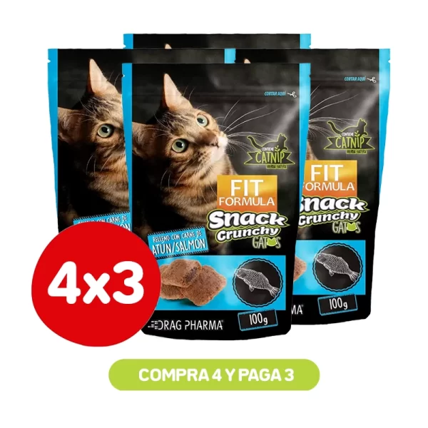 Pack 4x3 Fit Formula Para gato Crunchy